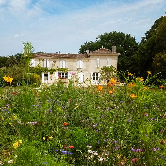 Chateau-fontenille-pre-fleuri Chateau-fontenille-pre-fleuri